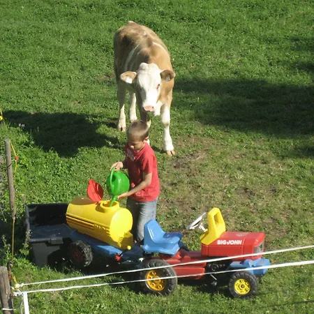 Bahlerhof - Luxner Christoph 公寓 齐勒河谷的里德